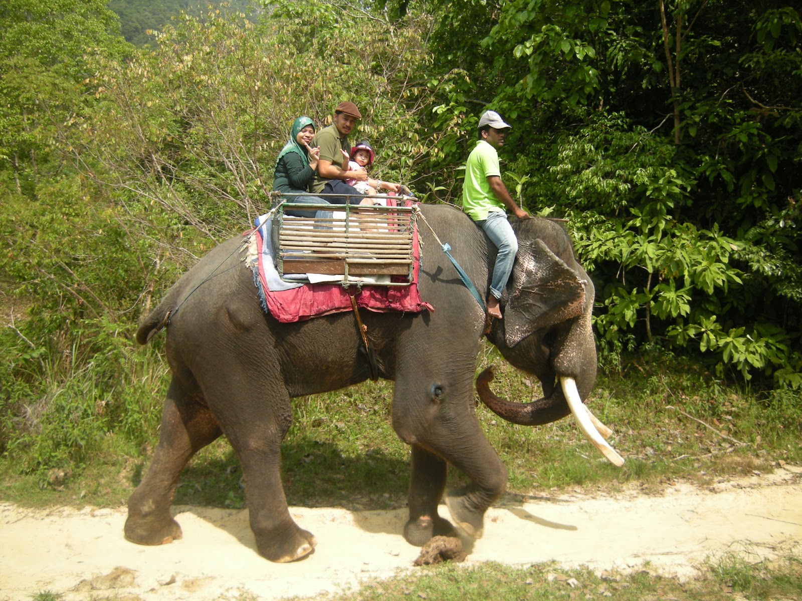 foto zaza Oriental Village Langkawi Elephant Ride