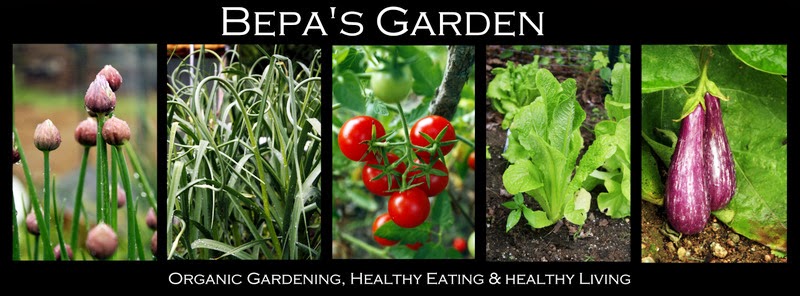 Bepa's Garden