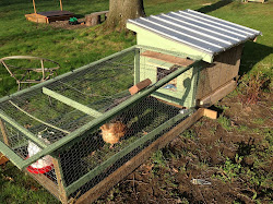 chicken coop remodel cost