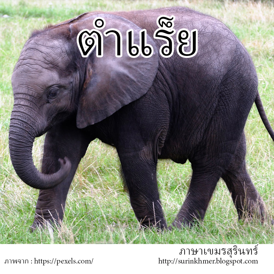My Image 39