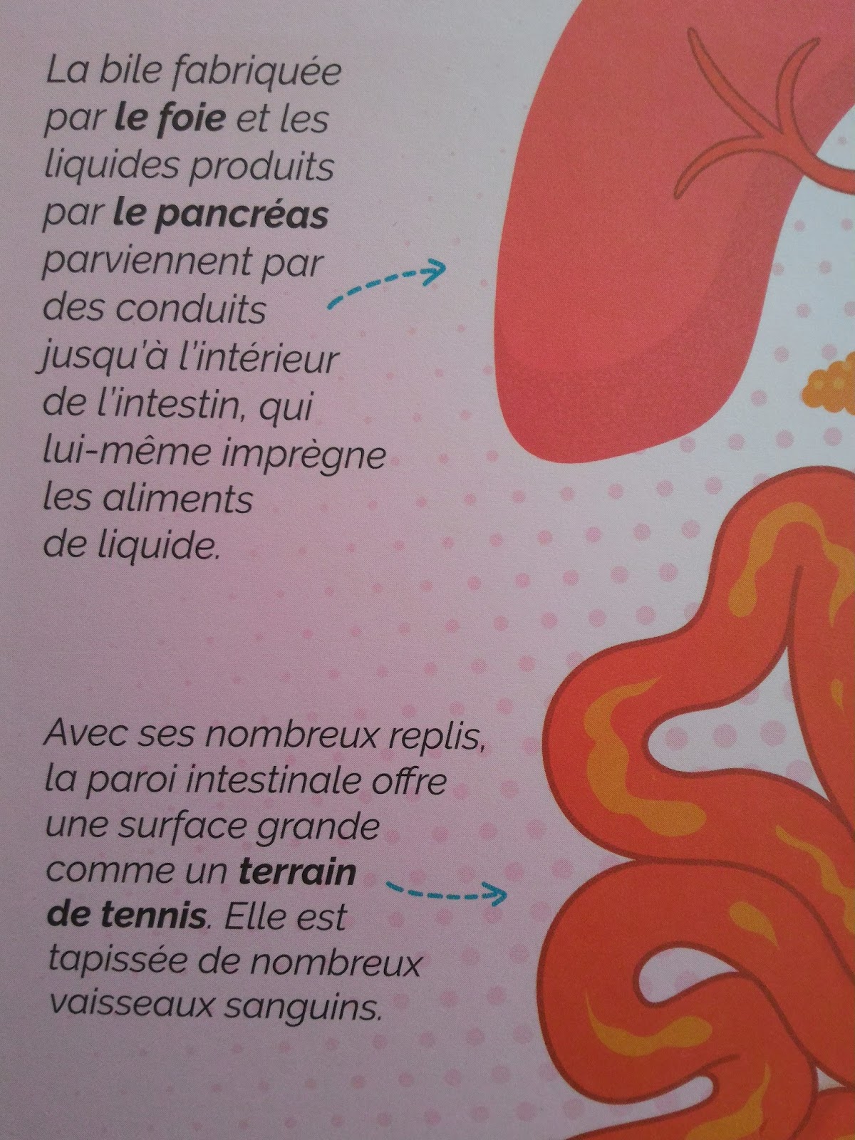 Il Etait Une Fois La Vie La Digestion Chagaz'. et vous?: Il était une fois... la vie : la digestion - Fleurus