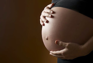 Mitos E Verdades Sobre A Fertilização 1 vida 13.11