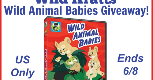 Coupons and Lesson Plans: Wild Kratts Wild Animal Babies DVD #entertainment