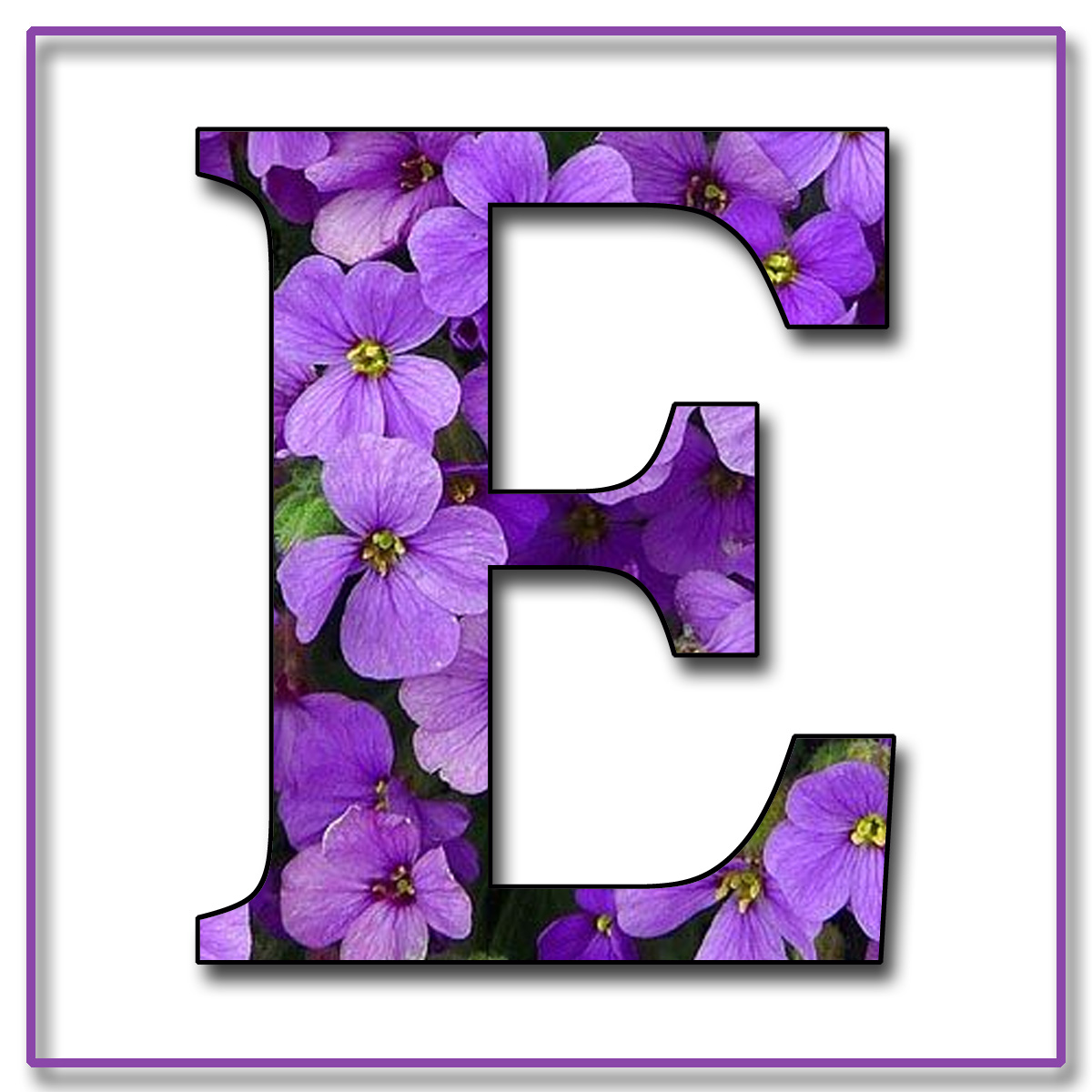 GRANNY ENCHANTED'S BLOG: "Purple Flowers" Free Scrapbook Alphabet