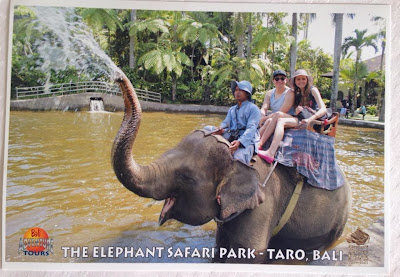 Elephant Safari Park Taro Bali Review - Ride an Elephant