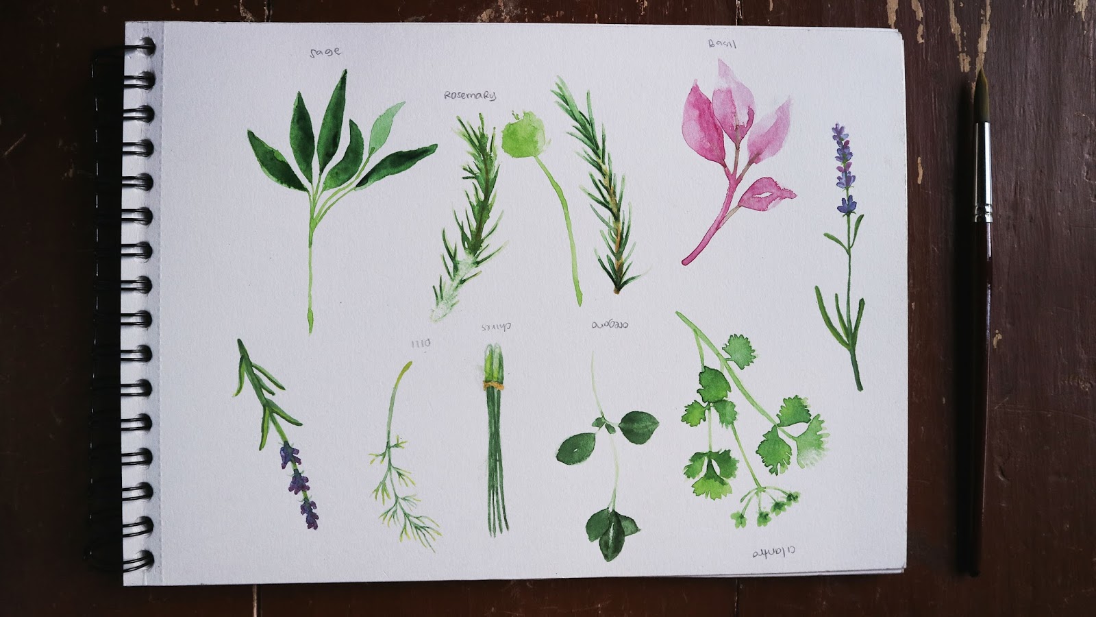 PaperOn Watercolor Herbs & Edible Flowers