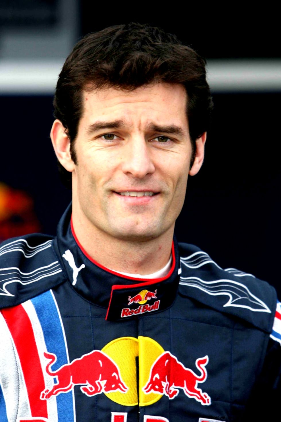 Mark Webber Net Worth