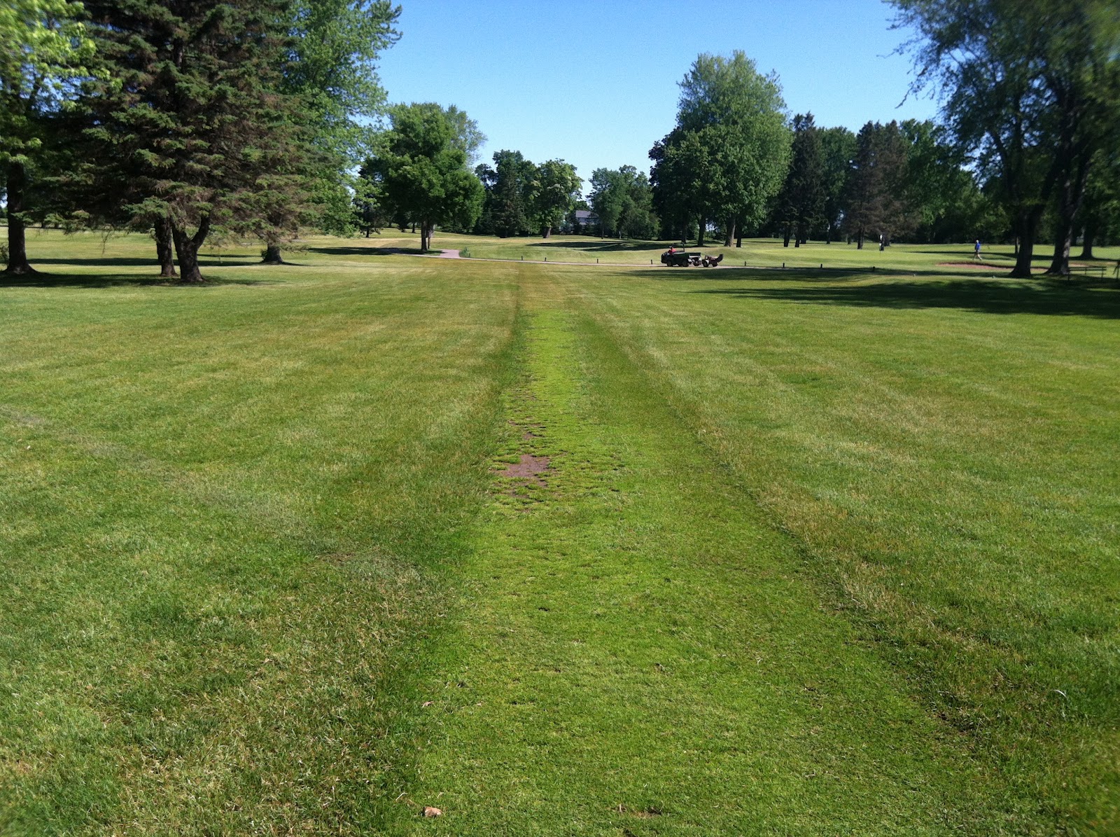 Ridgeway Country Club Turfgrass Management Walk Paths