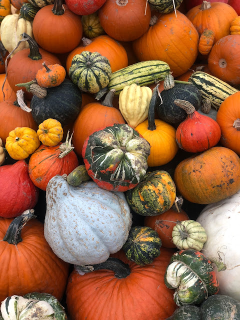 Autumn // I have this thing with Pumpkins {homegrown and an annual ...