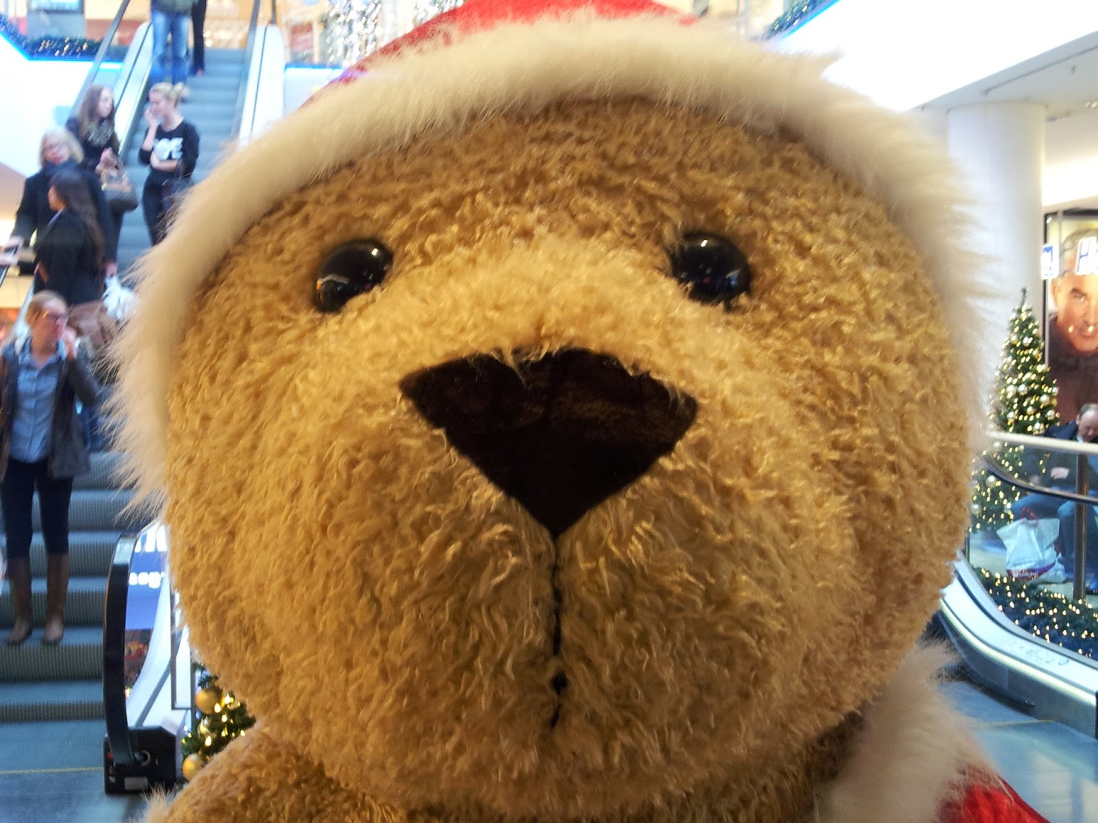 Bergheimat Hy Leonie Aprilscherz Dezemberkraxln Am