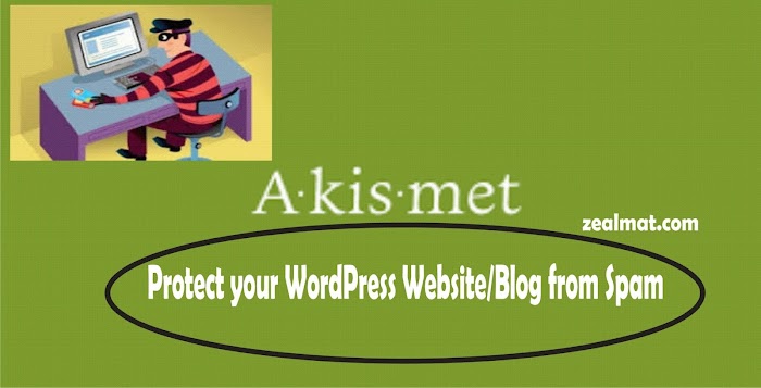 Protect Your Wordpress Blogs Or Websites From Spam
