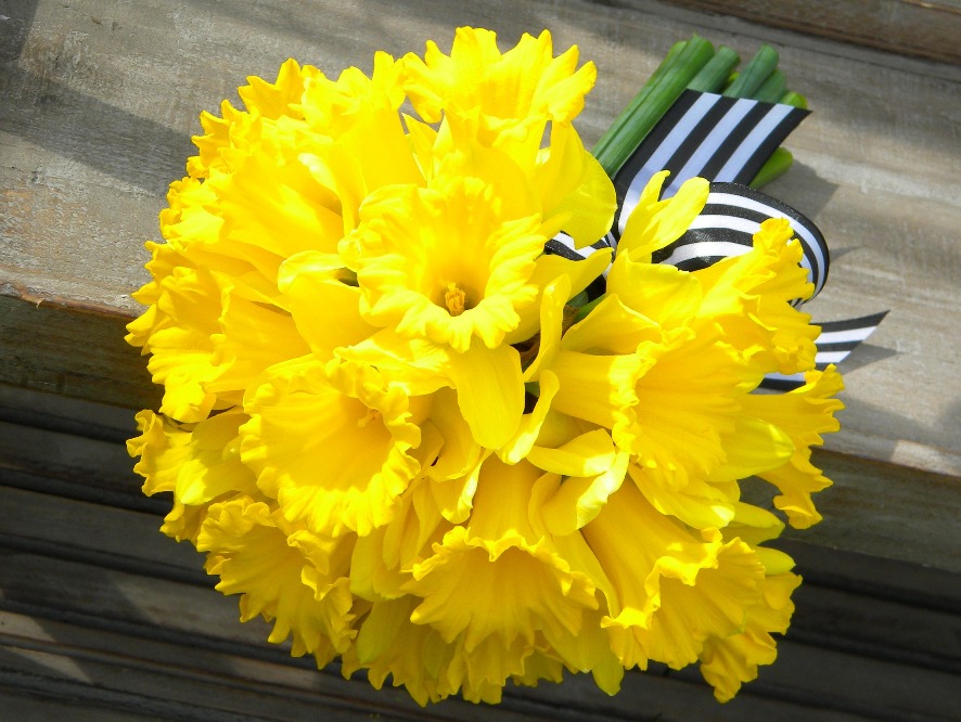 Wedding Flowers from Springwell Daffodil Love!