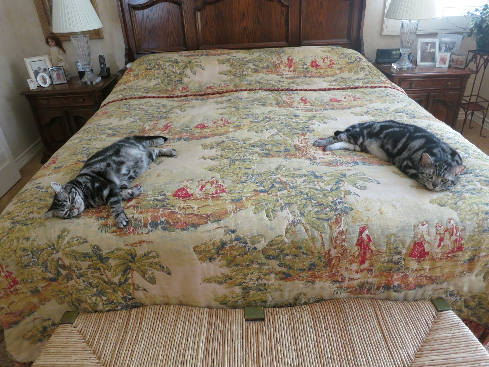 PrunePicker Two Comfortable Cats.