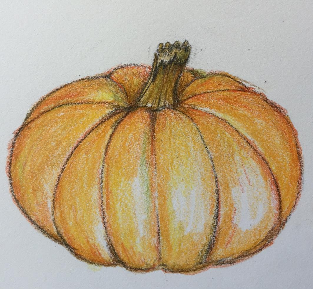Collection 100+ Images pictures of pumpkins to draw Sharp