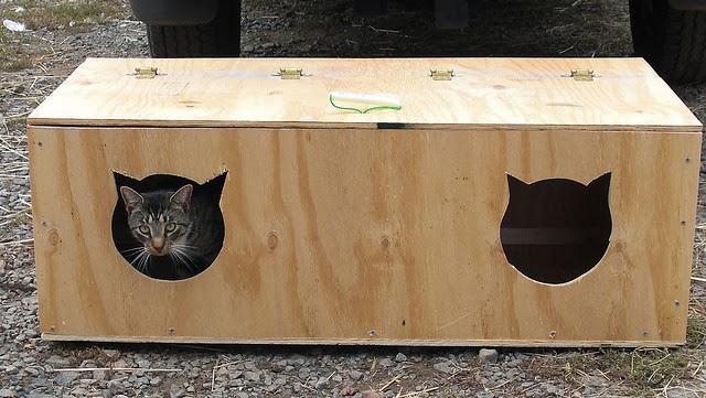 DIY insulated winter cat shelter