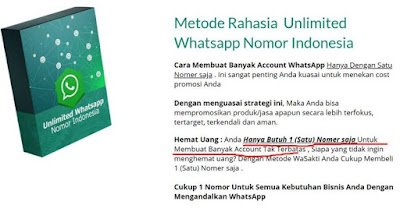 Terbongkar! Metode Rahasia Unlimited Whatsapp Nomor Indonesia