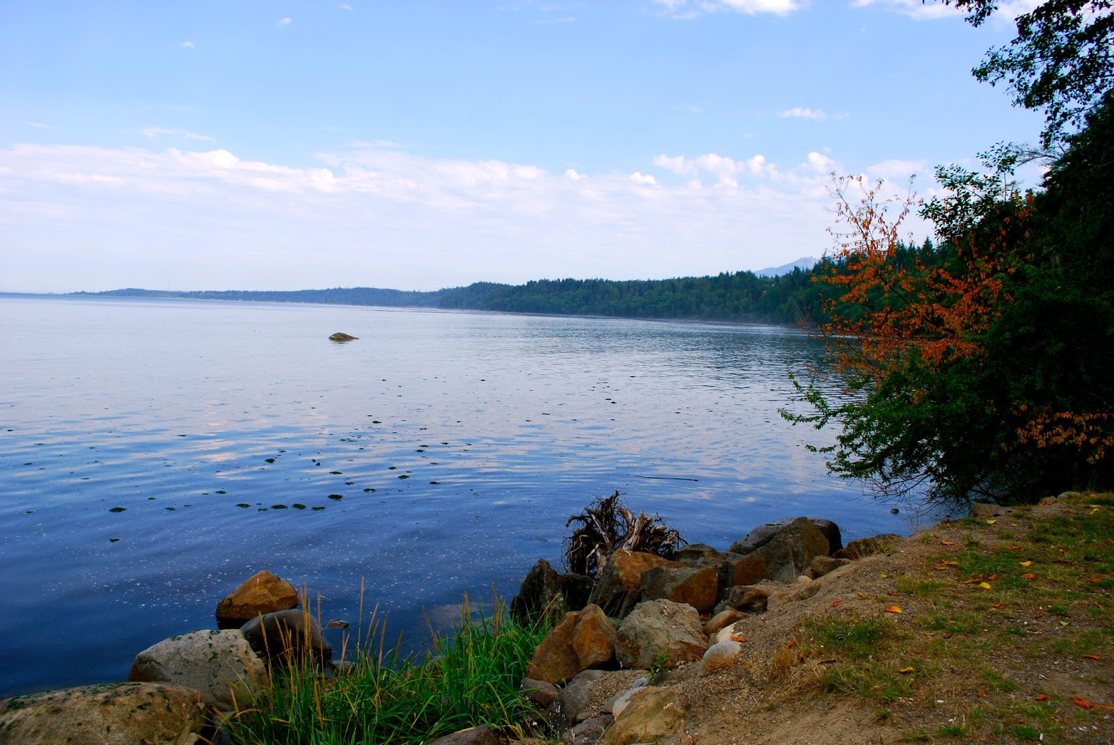Lakes on olympic peninsula