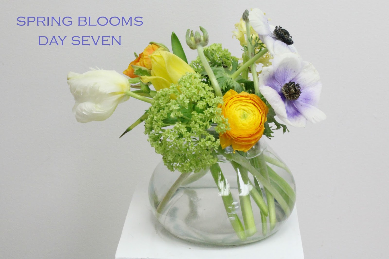 In the shop how long do spring blooms last?