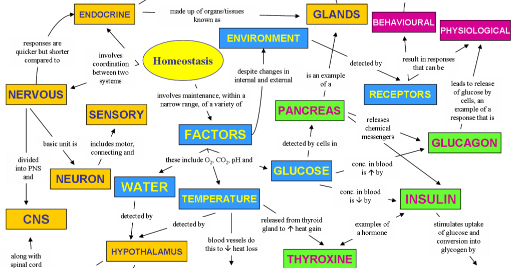 heat - English-Spanish Dictionary - WordReferencecom
