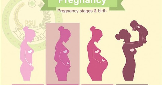 Menghitung Usia Kehamilan Sendiri Dengan Akurat Rsu Dan Holistik Sejahtera Bhakti Salatiga