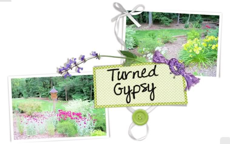 TurnedGypsy