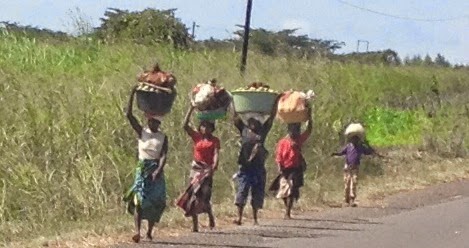 Life In Mozambique