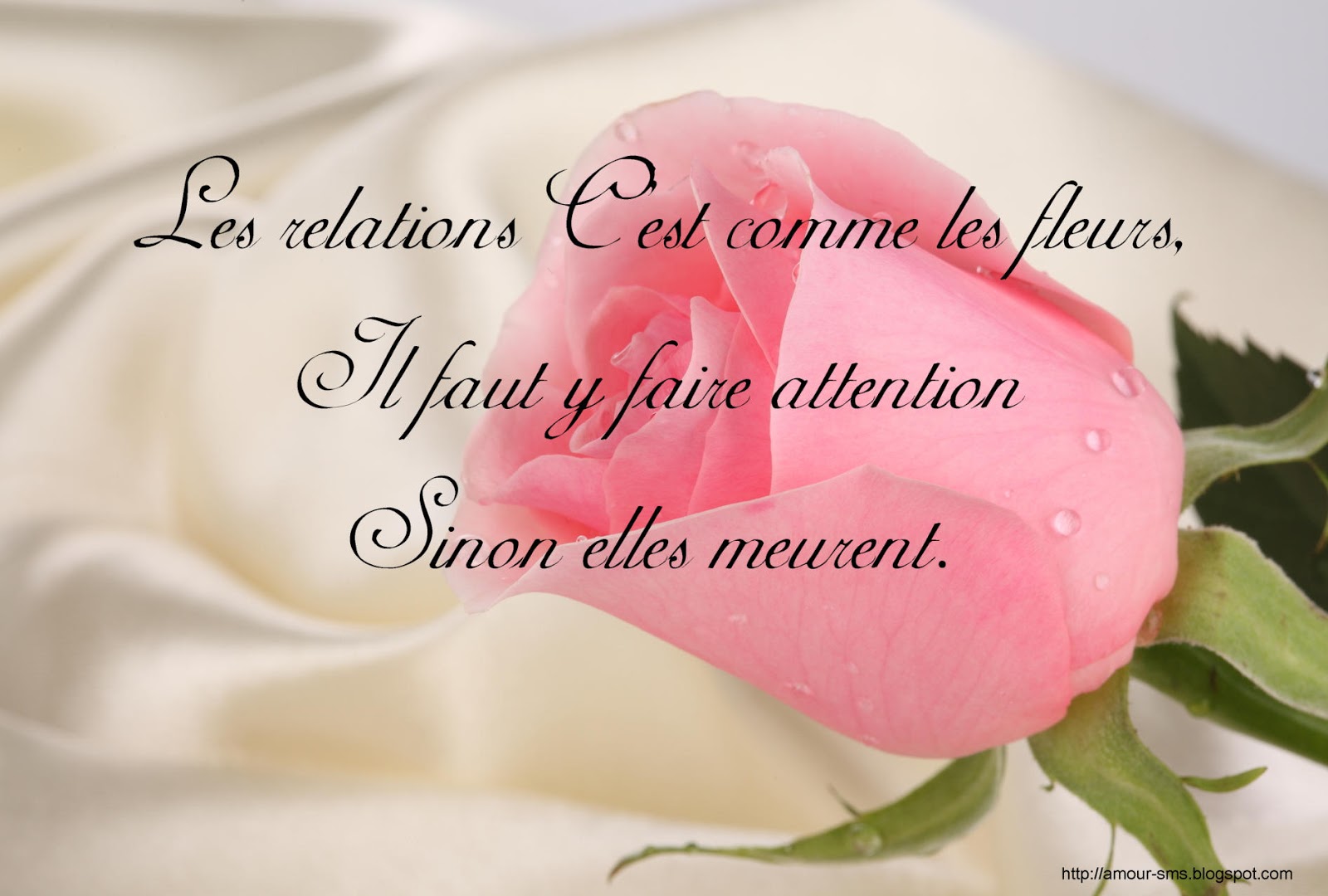 Citation 1 An De Mariage