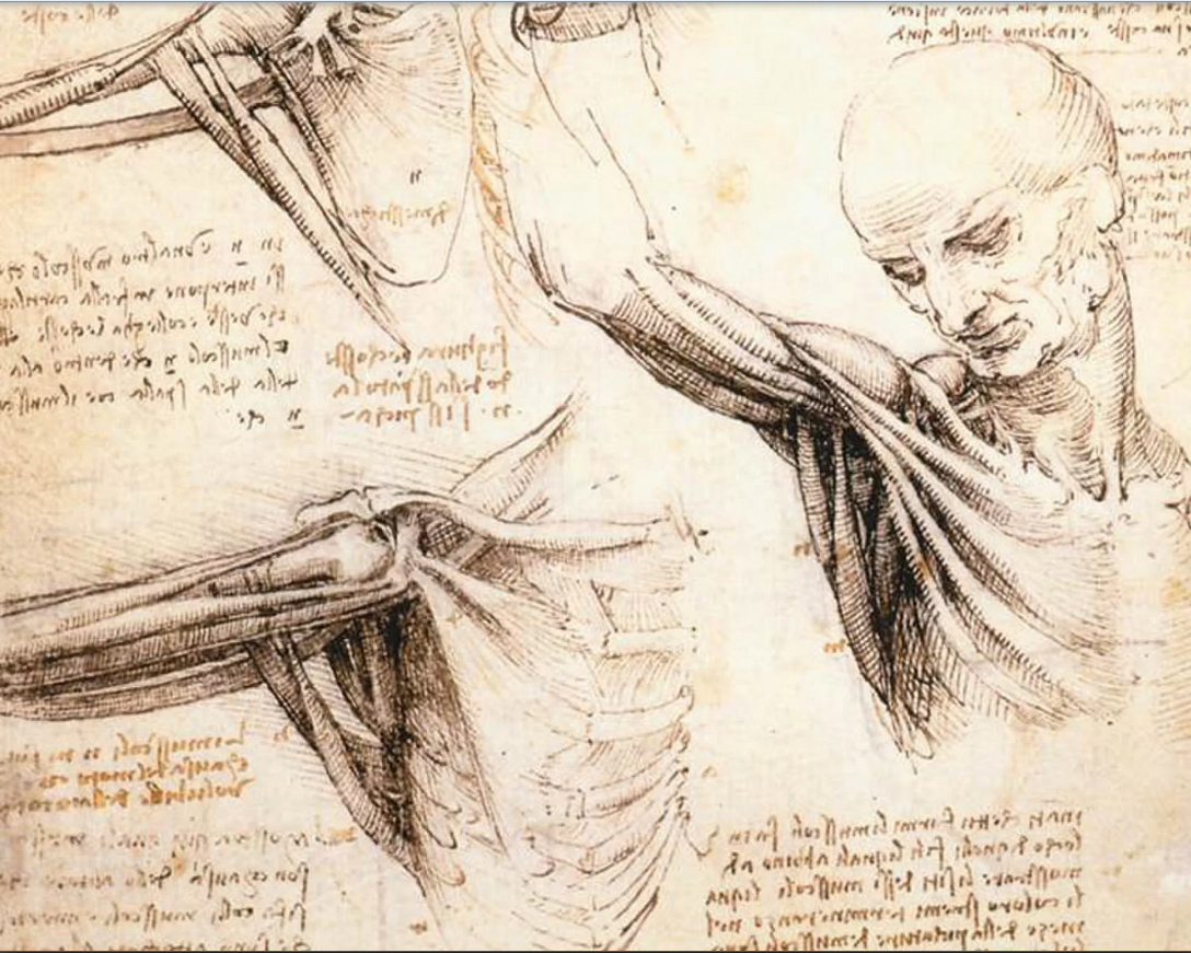 чертежи механизмов леонардо давинчи. Leonardo da vinci invented. изобретения леонардо давинчи. изабритения леонарда давинчи. Leonardo da vinci codex madrid.