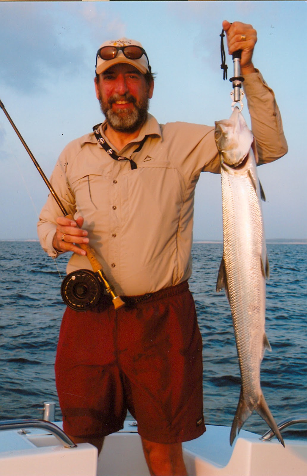 Big Fishes of the World LADYFISH (Elops spp.)