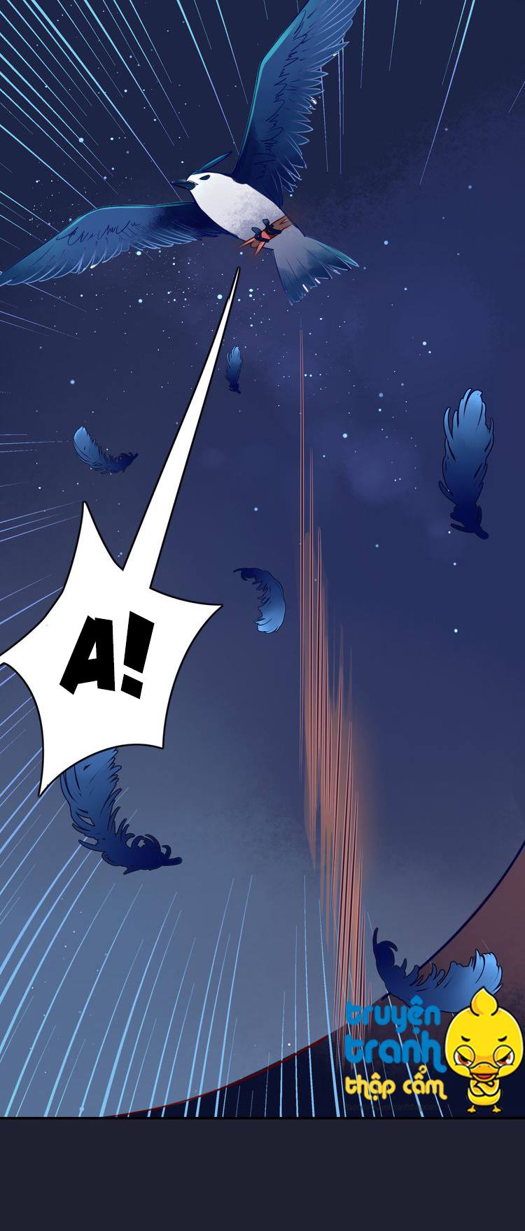 Cẩm Lý Quy - Chương 1 - Trang 43