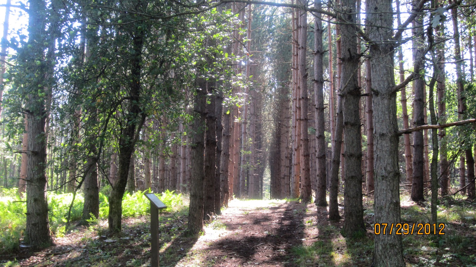 Sleeps Two Tionesta Recreation Area Campground