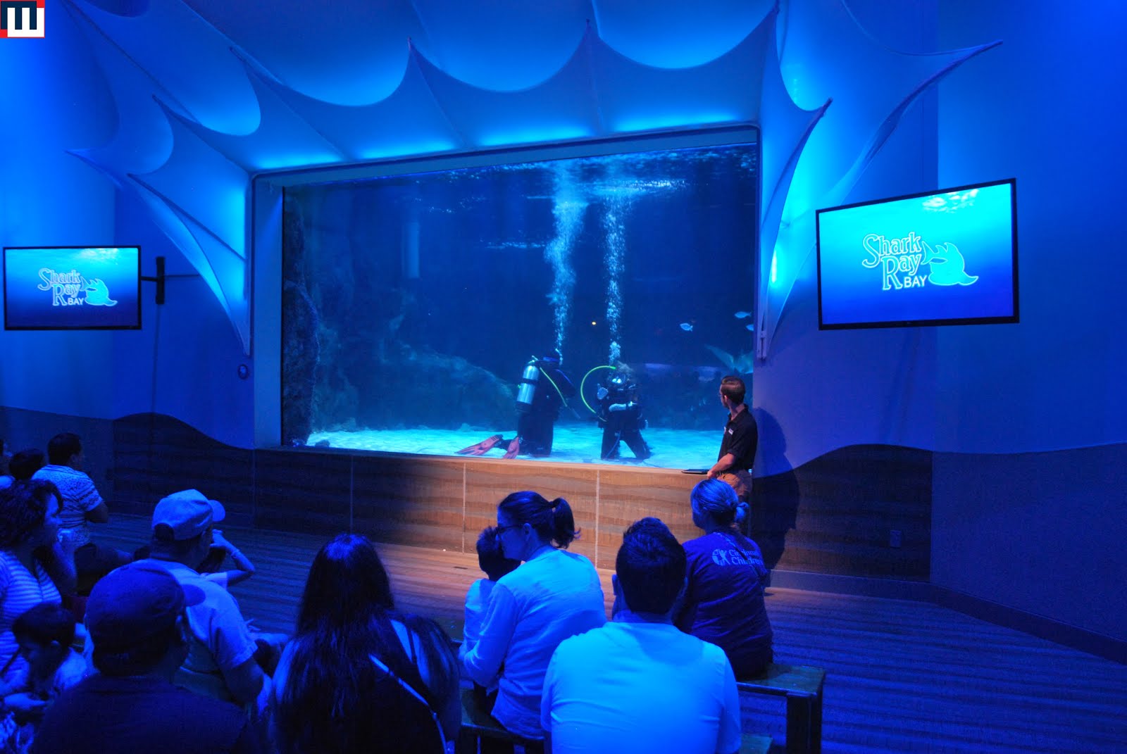 MidwestInfoGuide Newport Aquarium