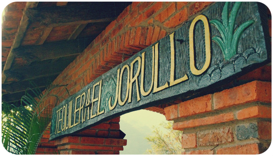 Canopy River ¡PROYECTO CANOPY!