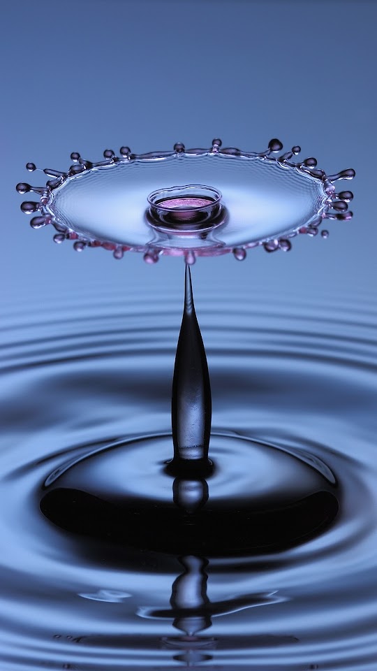 Abstract Water Drop Flower  Android Best Wallpaper