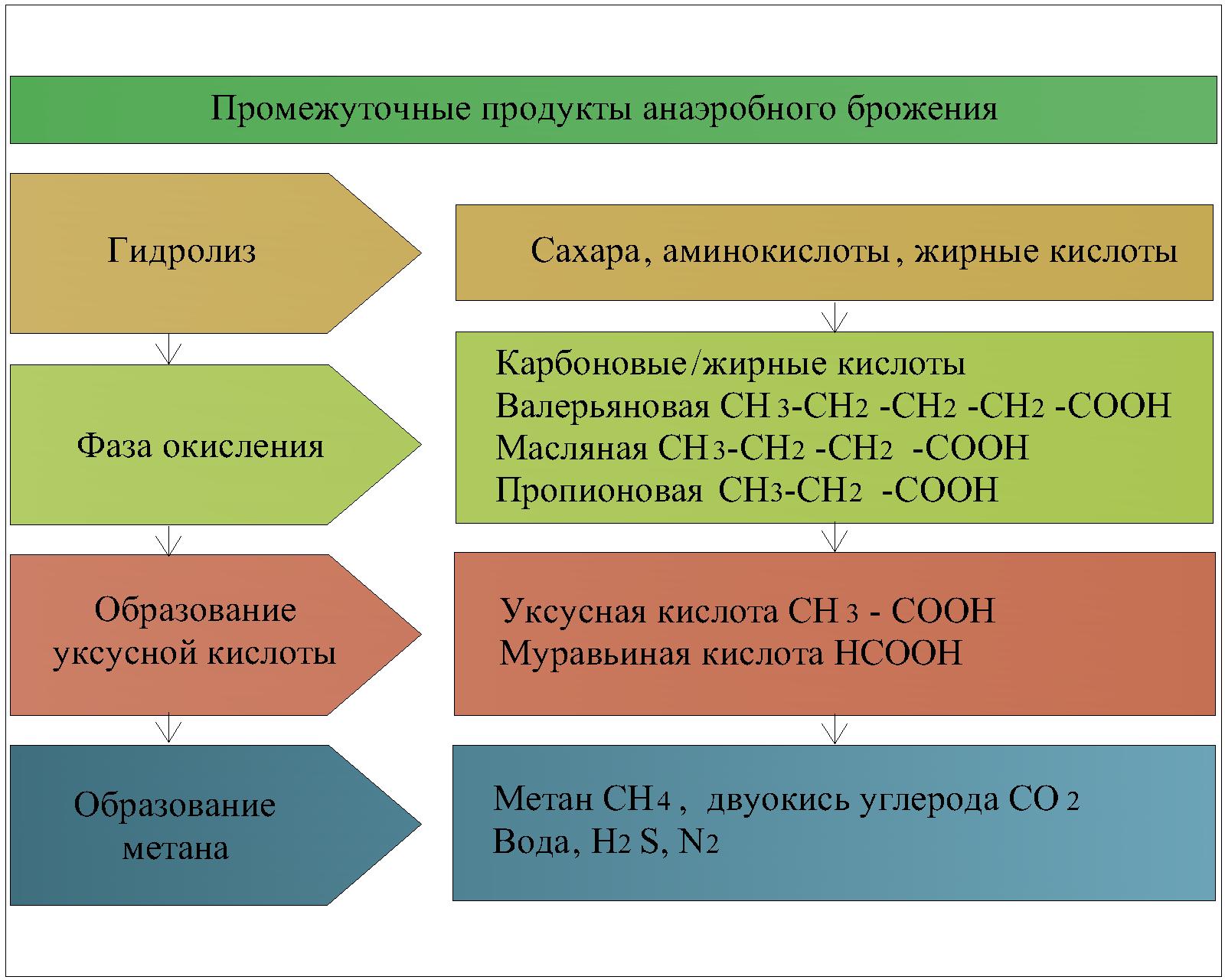 Анаэробное сбраживание