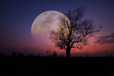 La luna y el árbol - Moon and tree - Fotos bonitas para compartir en facebook