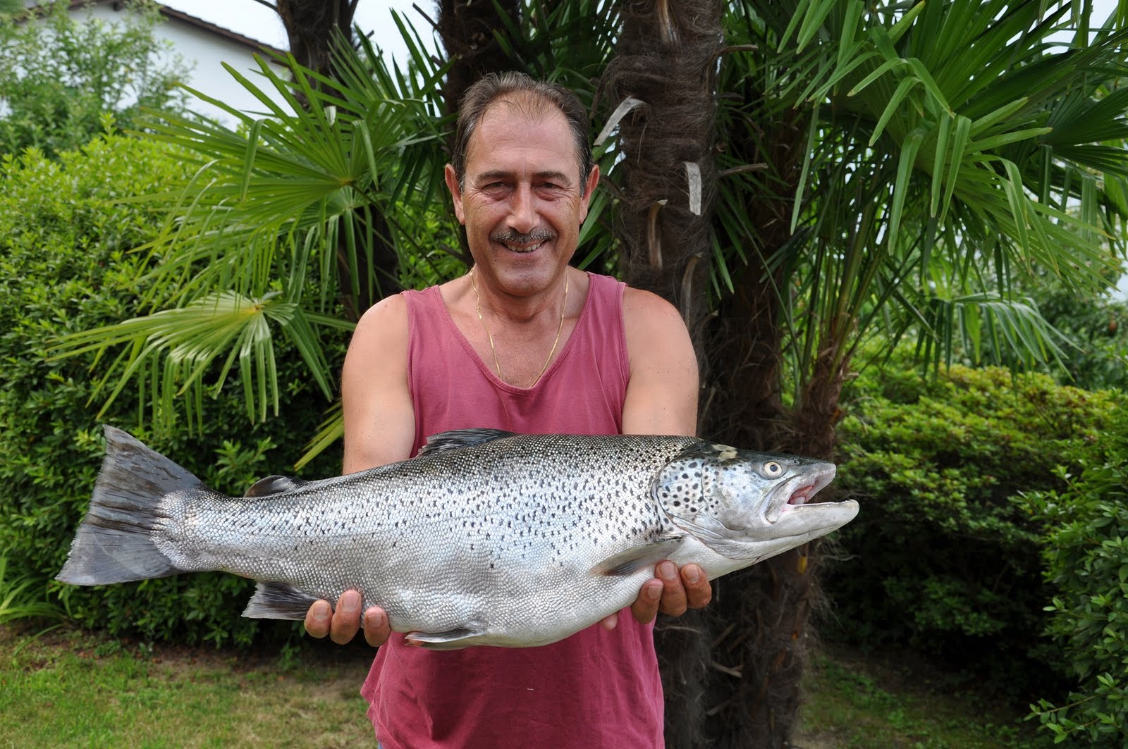 VOCE DEL GAMBAROGNO TROTA LAGO Pesca eccezionale VOCE DEL GAMBAROGNO TROTA LAGO Pesca eccezionale