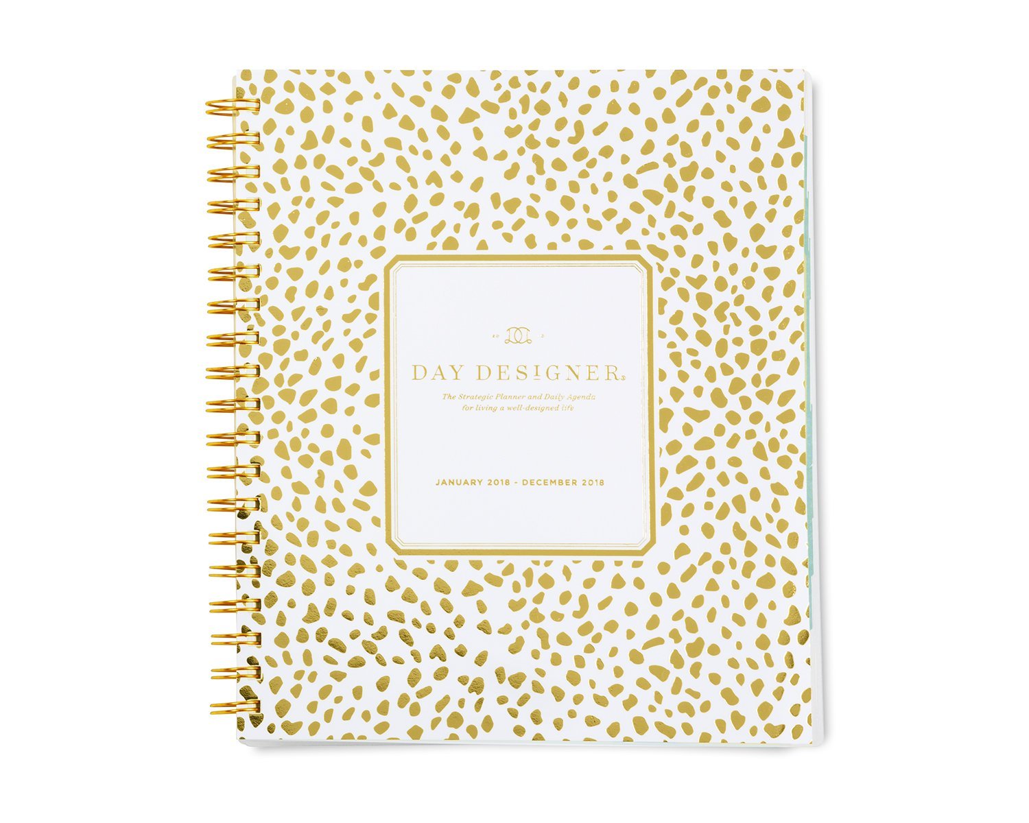 My Top 2018 Planner Choices - The Organized Dream