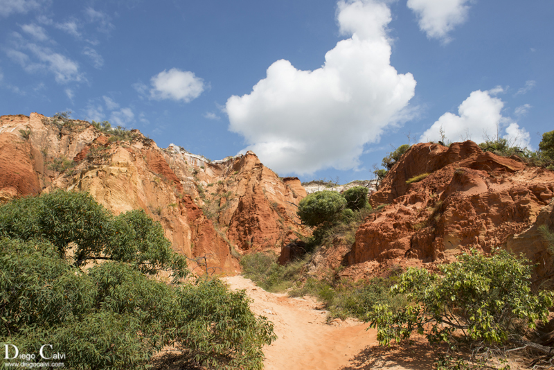 Australia la pequeña Inglaterra en un gran continente - Vuelta al mundo - Blogs de Australia - Cooktown, un paraíso en el norte de Australia (2)