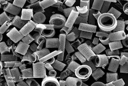 diatomaceous earth grid uses source microscope silica shape storage worms incredible cylinder internally using keep parasites calcium treatment simple ova