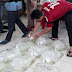 KKP Gagalkan Penyelundupan Ratusan Ekor Benih Ikan Arwana ke Malaysia