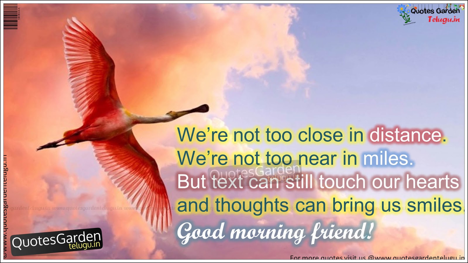 Good morning Quotes with friendship messages | QUOTES GARDEN ...
