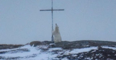 Молещата се пред християнски кръст бяла мечка Praying-585x306