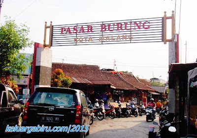 Pasar Burung Splendid Malang