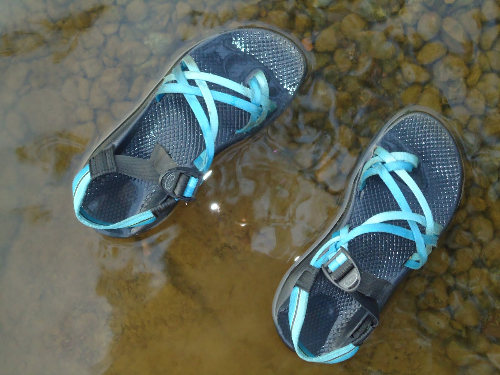 burlap heather chacos