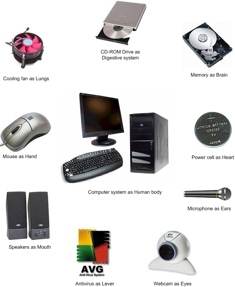 What is Computer? | Computer Notes