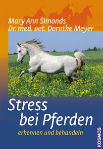 Stress bei Pferden: Erkennen und behandeln