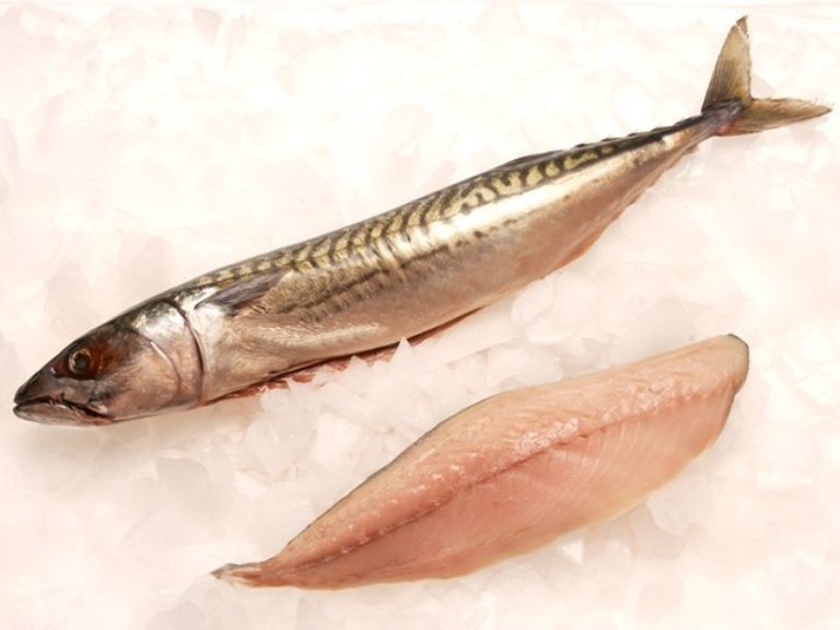 Mackerel Fillets Various Products and Recipe Horse Mackerel Fish, Horse Mackerel Frozen,Horse