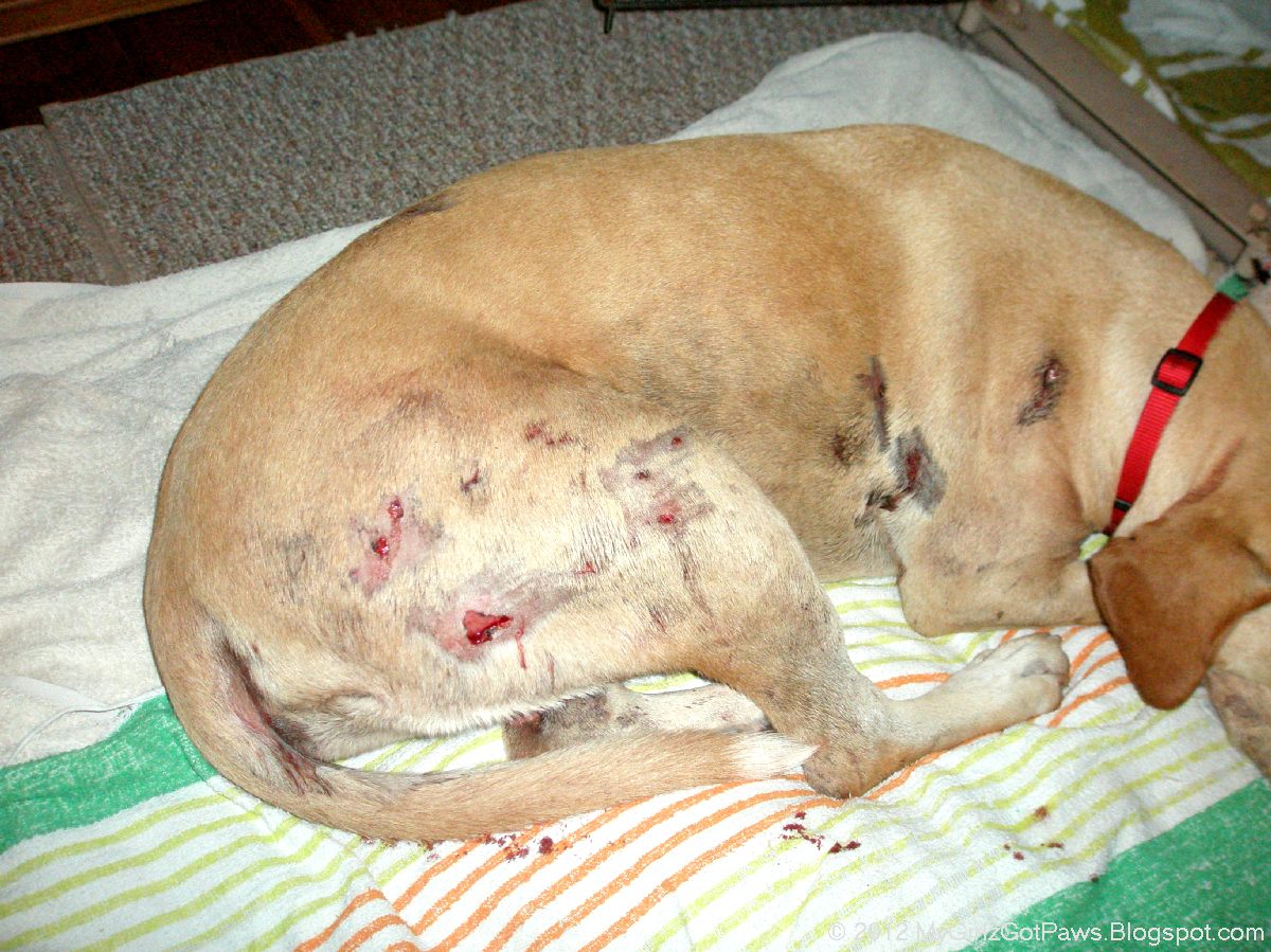 A shell in my pocket and waves at my feet... Not your