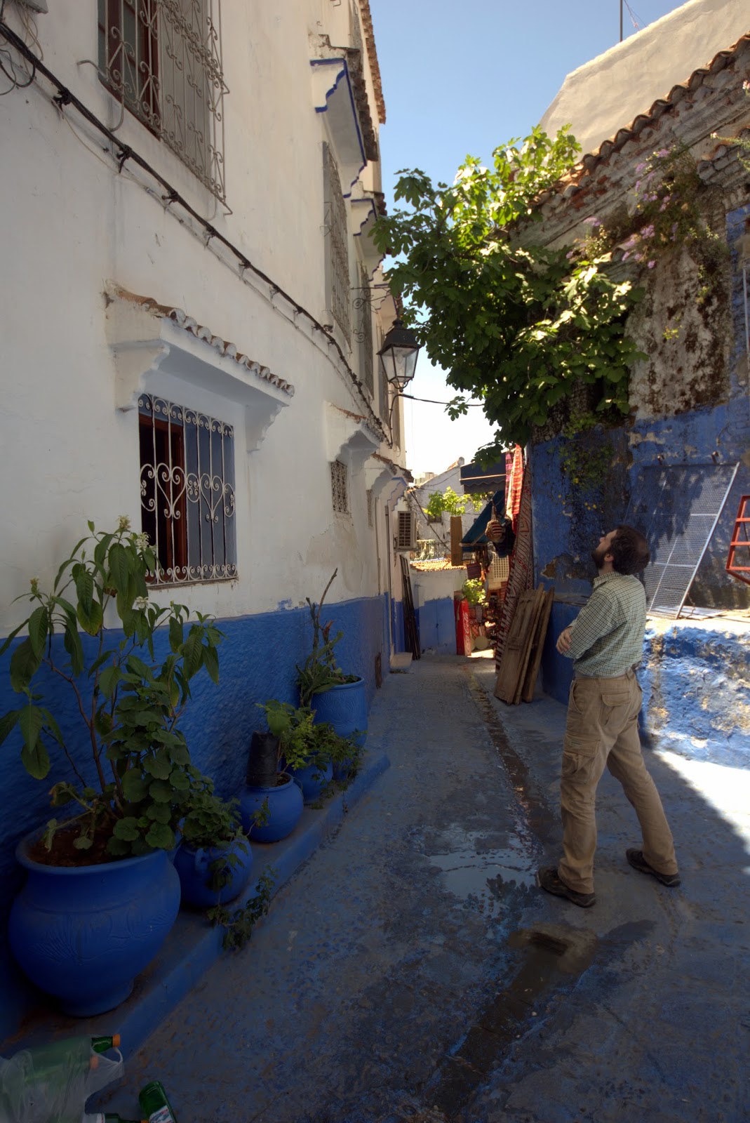 Life is short, but snakes are long Snakes of Morocco Life is short, but snakes are long Snakes of Morocco